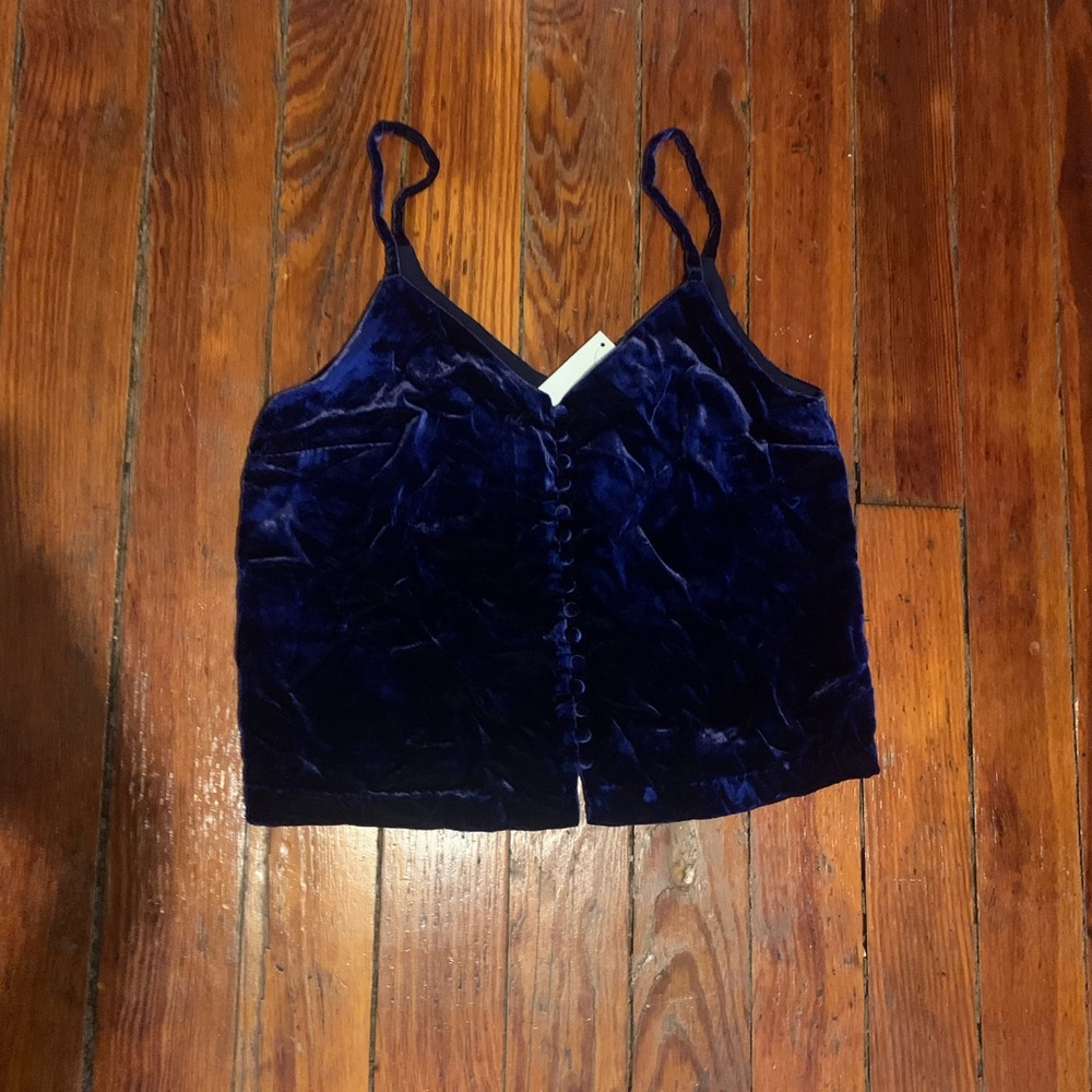 Madewell Deep Blue Velvet Camisole - Picture 3 of 5